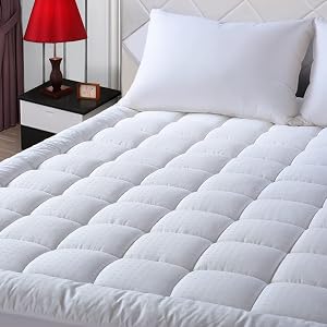 EASELAND Queen Size Mattress Pad Pillow Top Mattress Cover Quilted Fitted Mattress Protect